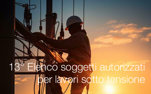 13° Elenco soggetti autorizzati  per lavori sotto tensione