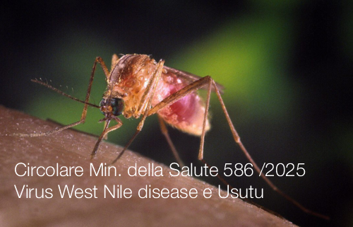 Circolare Ministero della Salute n. 586 del 21 Luglio 2025 Circolare Ministero della Salute n. 586 del 21 Luglio 2025