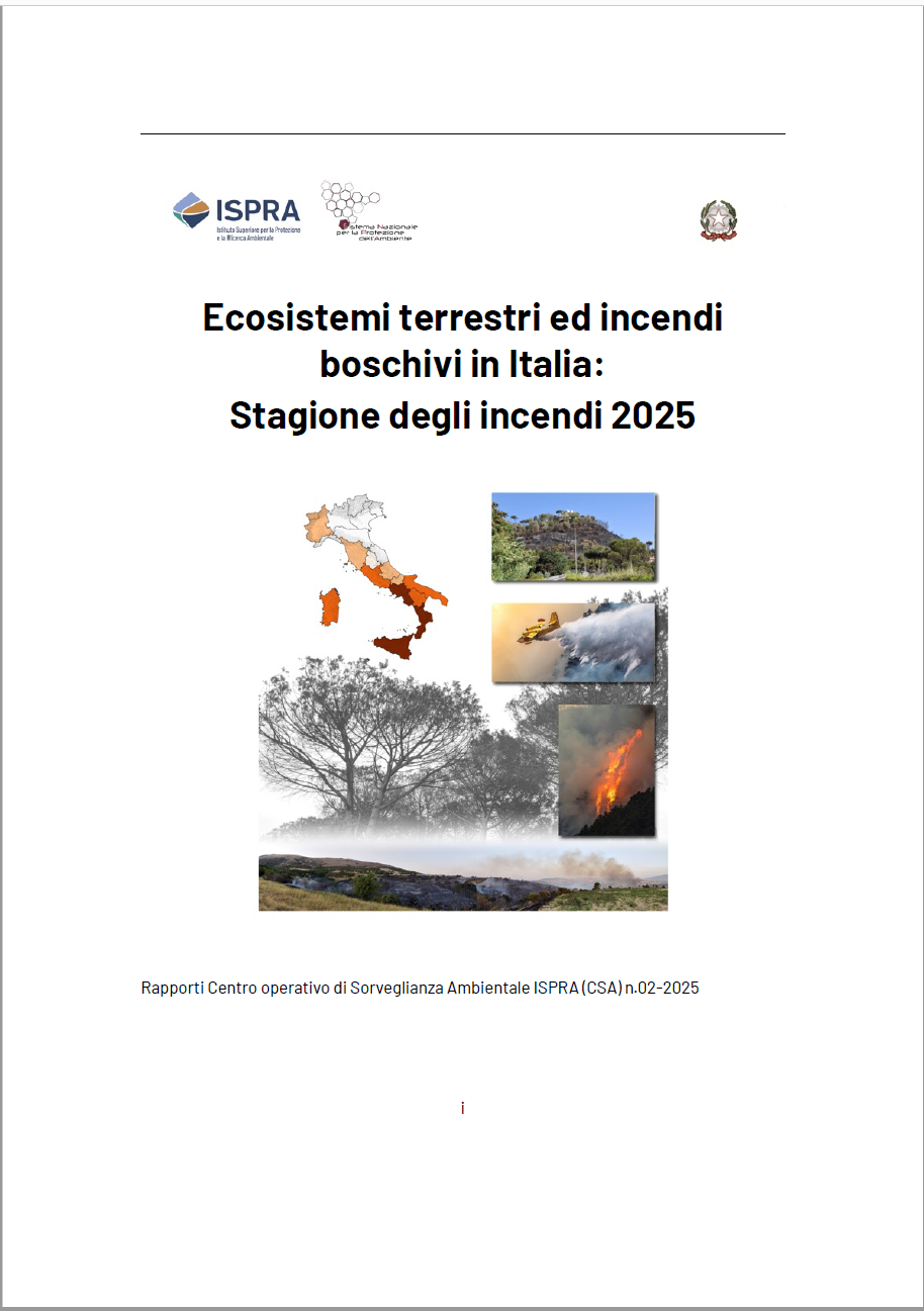 Ecosistemi terrestri ed incendi boschivi in Italia: Stagione degli incendi 2025