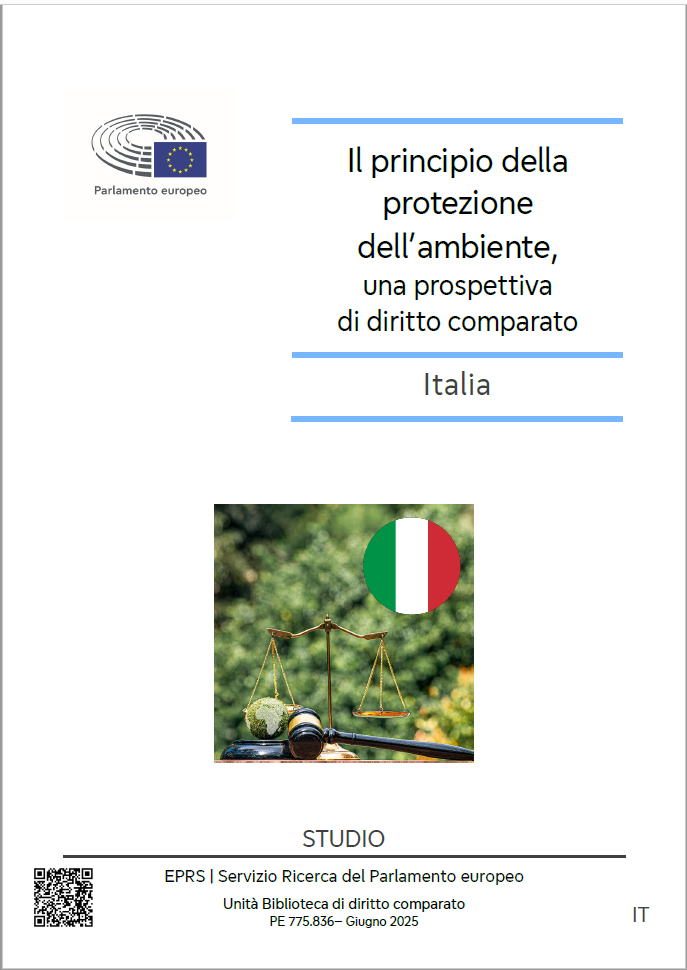 Il principio della protezione dell’ambiente Il principio della protezione dell’ambiente
