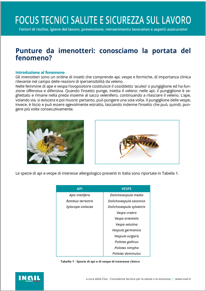 Punture da imenotteri: conosciamo la portata del fenomeno