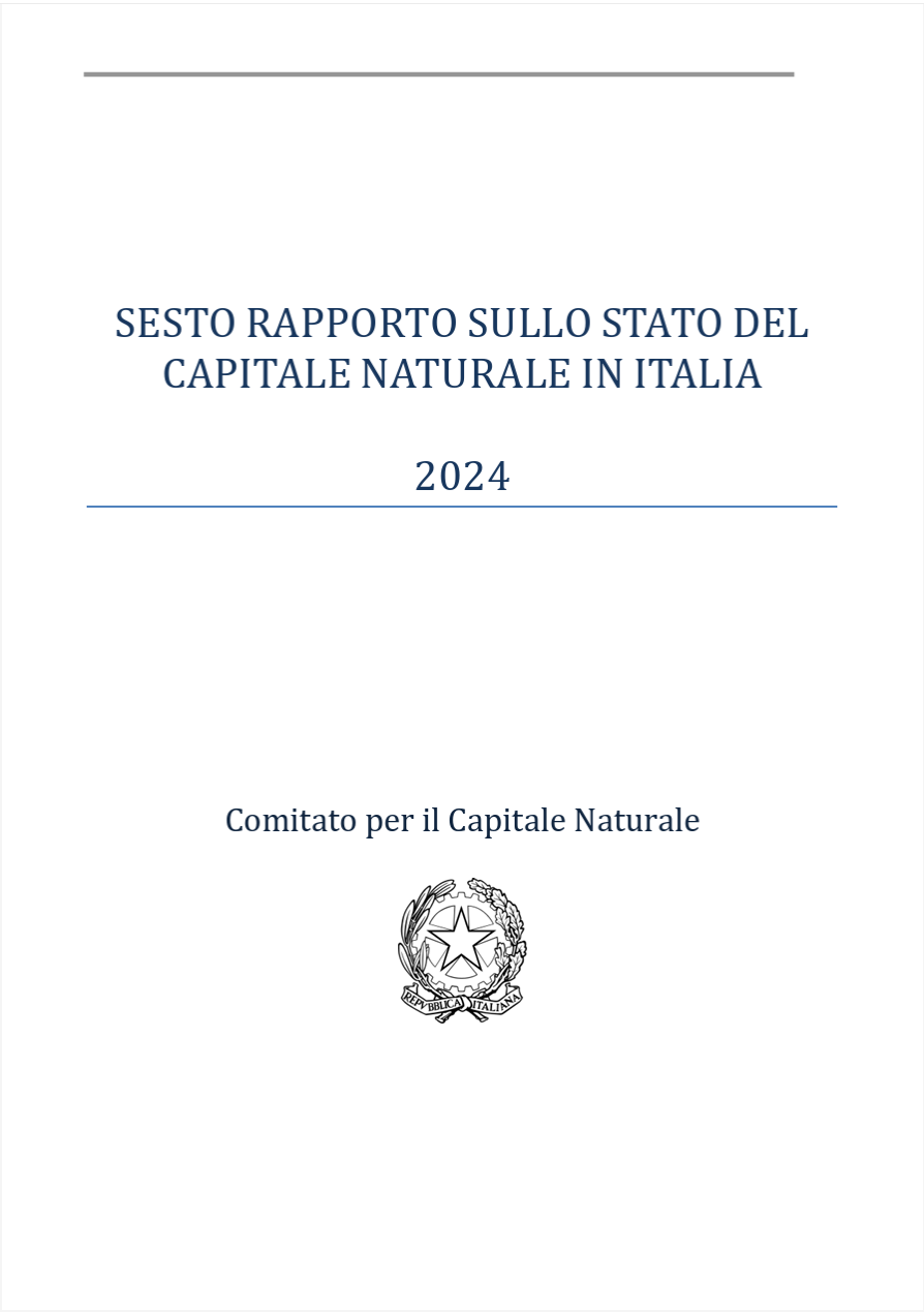 VI Rapporto sullo Stato del Capitale Naturale in Italia