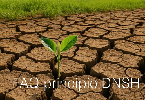 FAQ principio “Do No Significant Harm” (DNSH)