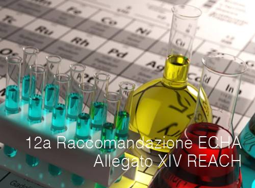 12a Raccomandazione ECHA - Sostanze soggette ad autorizzazione Allegato XIV REACH